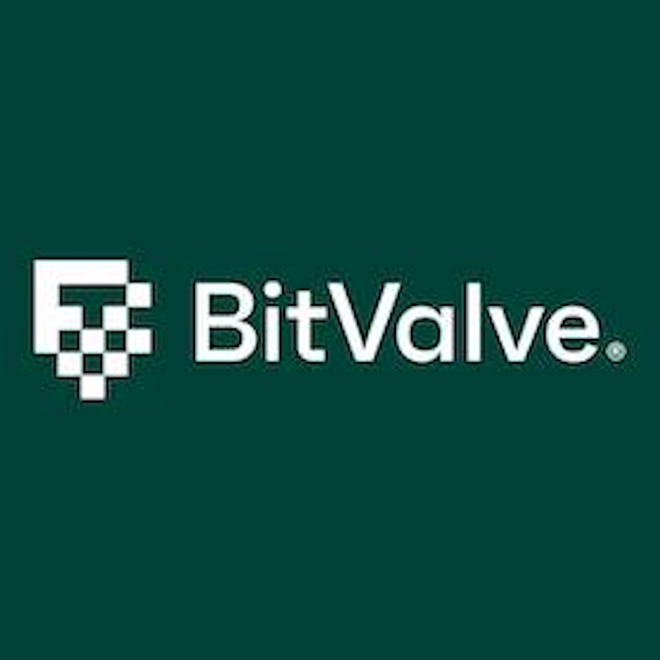 BitValve P2P